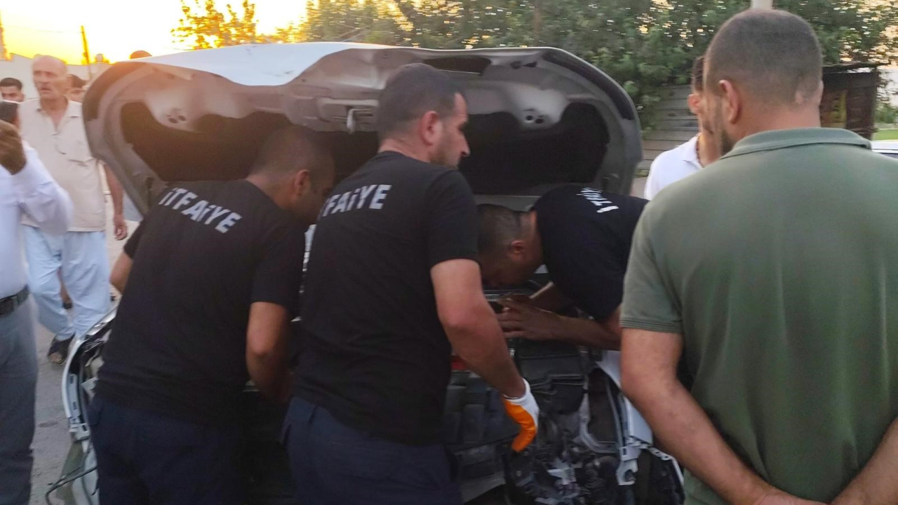 Mardin'de iki otomobil çarpıştı: 1 yaralı