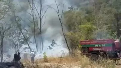İznik'te orman yangını