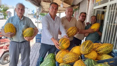Araban Ovası'nda kavun hasadı başladı
