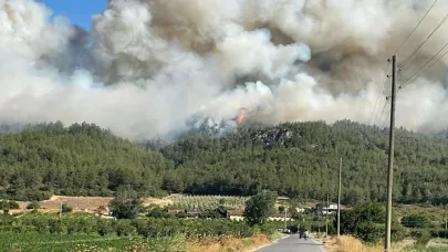 Üç ilde orman yangını!