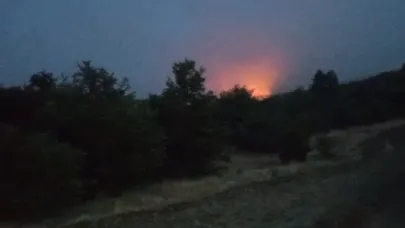 Bilecik’teki orman yangını devam ediyor