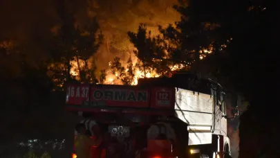 Sakarya'daki yangınının ikinci gününde çalışmalar hızlandırıldı