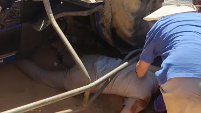 Ters dönen traktörün sürücüsü yaralandı