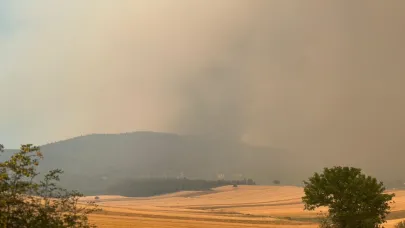 Sakarya'daki orman yangını Bilecik'e yaklaştı