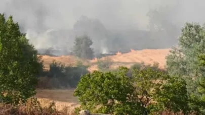 Malkara'da anız yangını ormana sıçradı