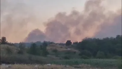 Tekirdağ’da alan yangını