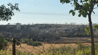 Başakşehir'de çalılık alanda yangın