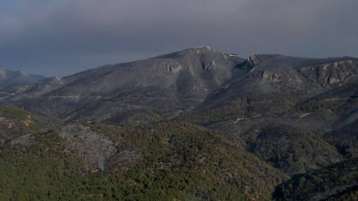 Sakarya’da dumanlar dağıldı, yangının hasarı ortaya çıktı