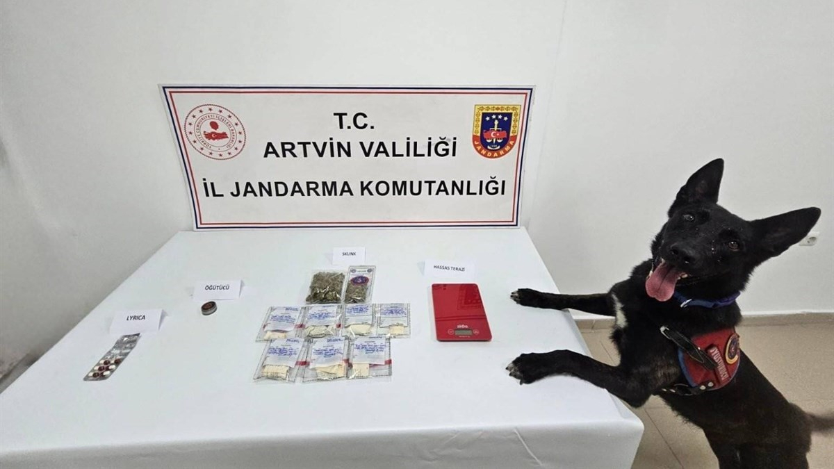 Uyuşturucu operasyonunda 2 tutuklu