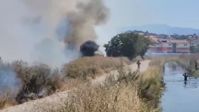 Yangına aldırmadan kanalda yüzdüler