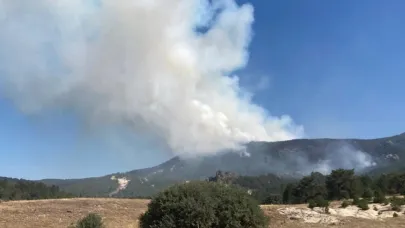 Eskişehir'deki yangının 2. gününde müdahale devam ediyor