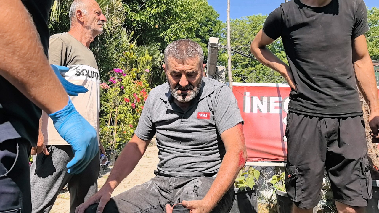 Yola çıkan köpeğe çarpan motosiklet sürücüsü yaralandı