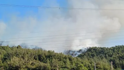 Manisa'da orman yangını