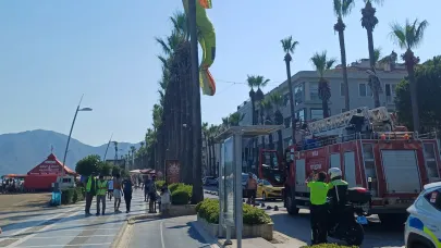 Deniz paraşütü palmiyeye takıldı