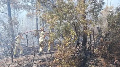 Antalya'daki orman yangınında 2,8 hektarlık alan zarar gördü