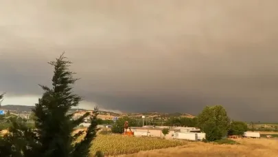 Bilecik'teki yangının dumanları Bursa’ya ulaştı