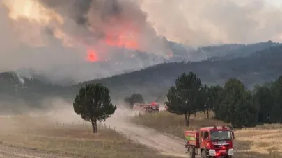 Siyasilerden şehitler için taziye mesajları!