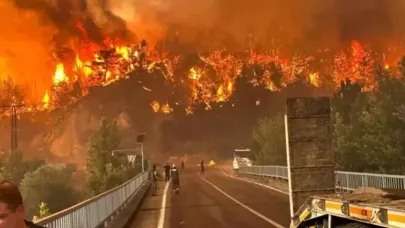 Orman yangınıyla ilgili soruşturma başlatıldı