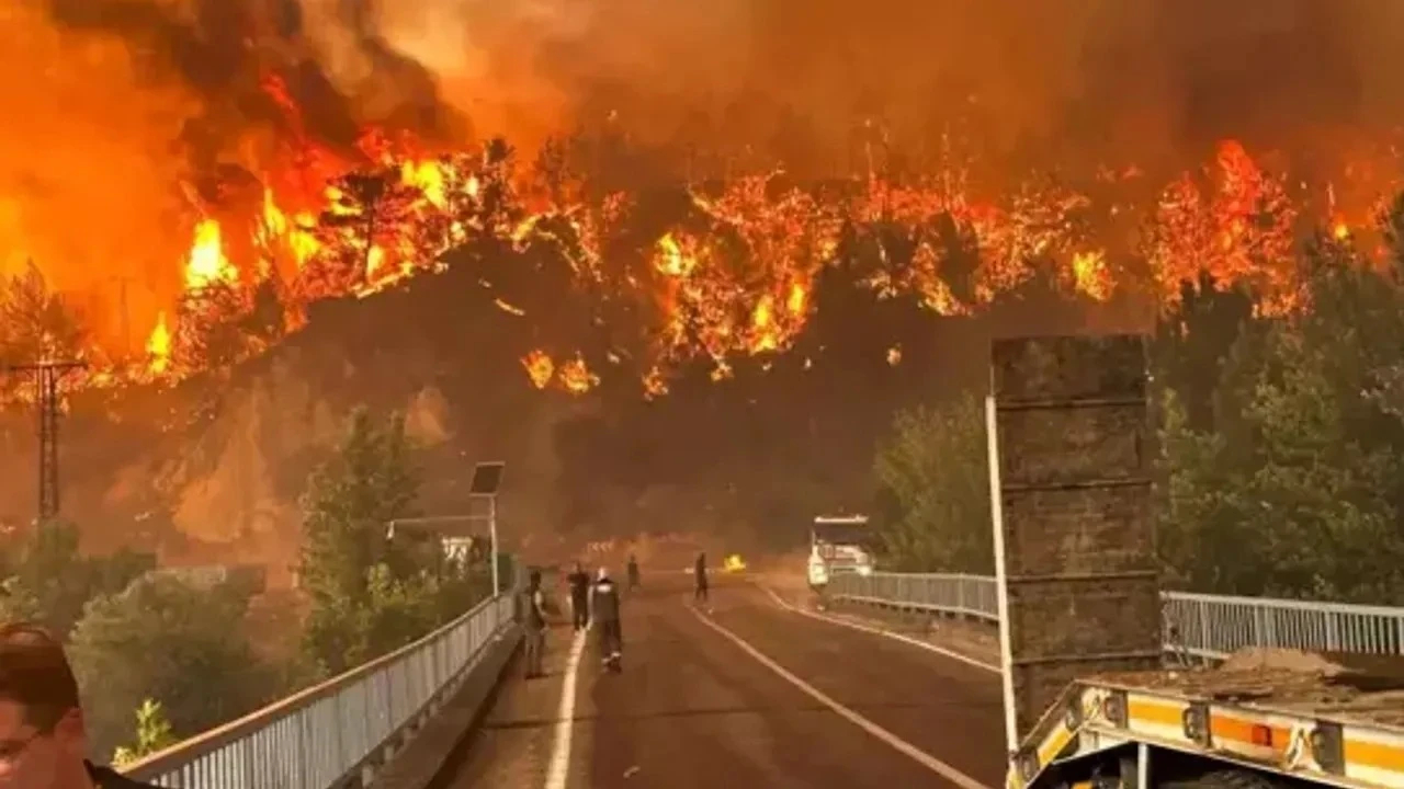 Orman yangınıyla ilgili soruşturma başlatıldı