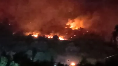 Dikili’de orman yangını: Çanakkale yolu ulaşıma kapatıldı