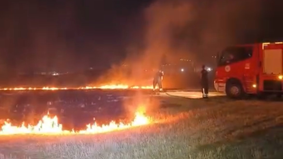 Tekirdağ'da buğday tarlası küle döndü