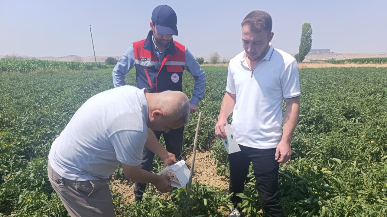 Afyonkarahisar’da bitki sağlığı faaliyetleri devam ediyor