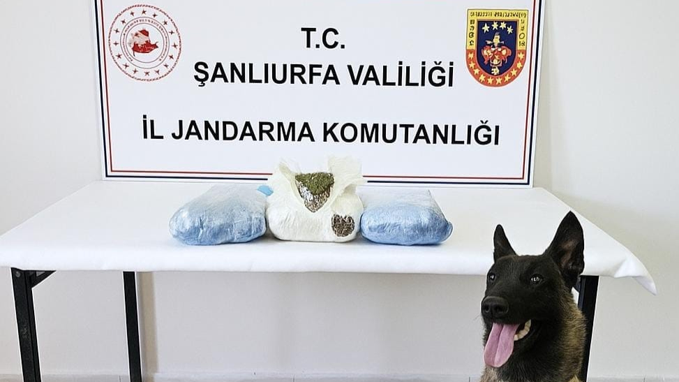 Şanlıurfa’da uyuşturucu operasyonu