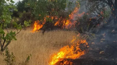 Siirt’te 2 dönüm arazi kül oldu