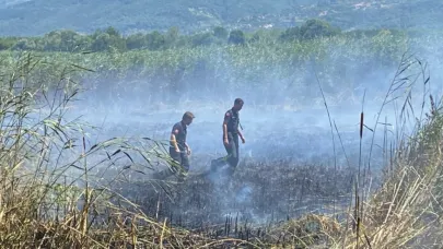 Sapanca Gölü'nde yangın çıktı