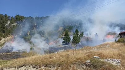 Antalya'da orman yangını