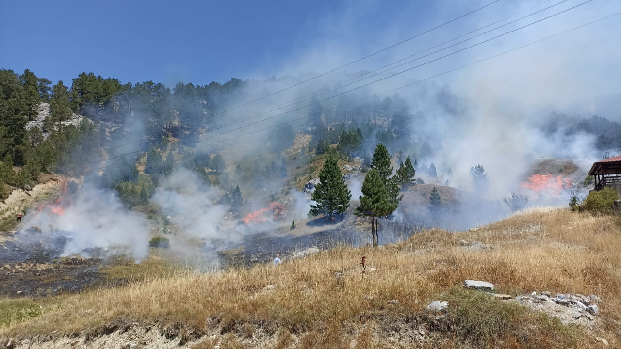 Antalya'da orman yangını