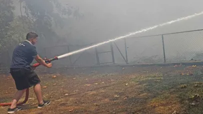 Sapanca Gölü'ndeki yangın söndürüldü