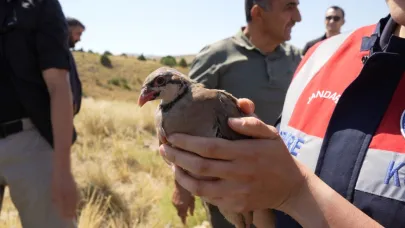 Keneyle mücadelede 400 keklik doğaya bırakıldı