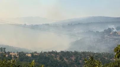Uşak'taki yangına karadan müdahale devam ediyor