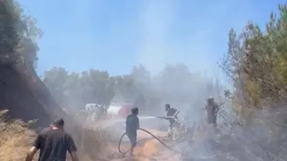 Bursa'da korkutan orman yangını