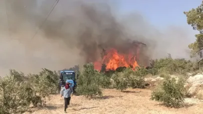 Türkiye güne yangınla başladı... 3 ilde orman yangını!
