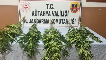 Kütahya'da Jandarmadan uyuşturucu operasyonu