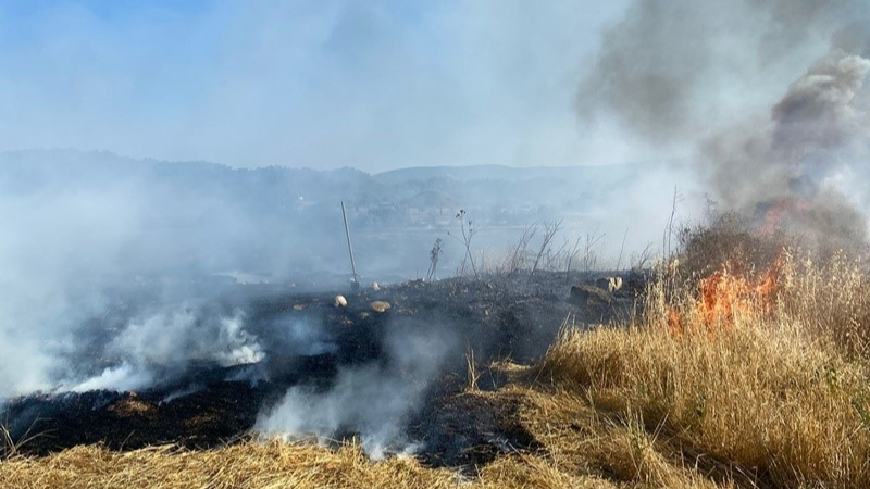 Boyabat'ta anız yangını: 60 balya saman kül oldu