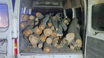 Düzce'de operasyon: 1 ton kaçak orman ürünü ele geçirildi