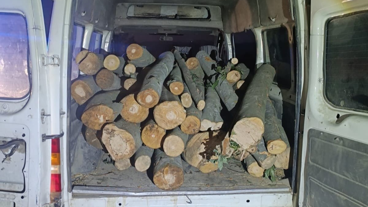 Düzce'de operasyon: 1 ton kaçak orman ürünü ele geçirildi