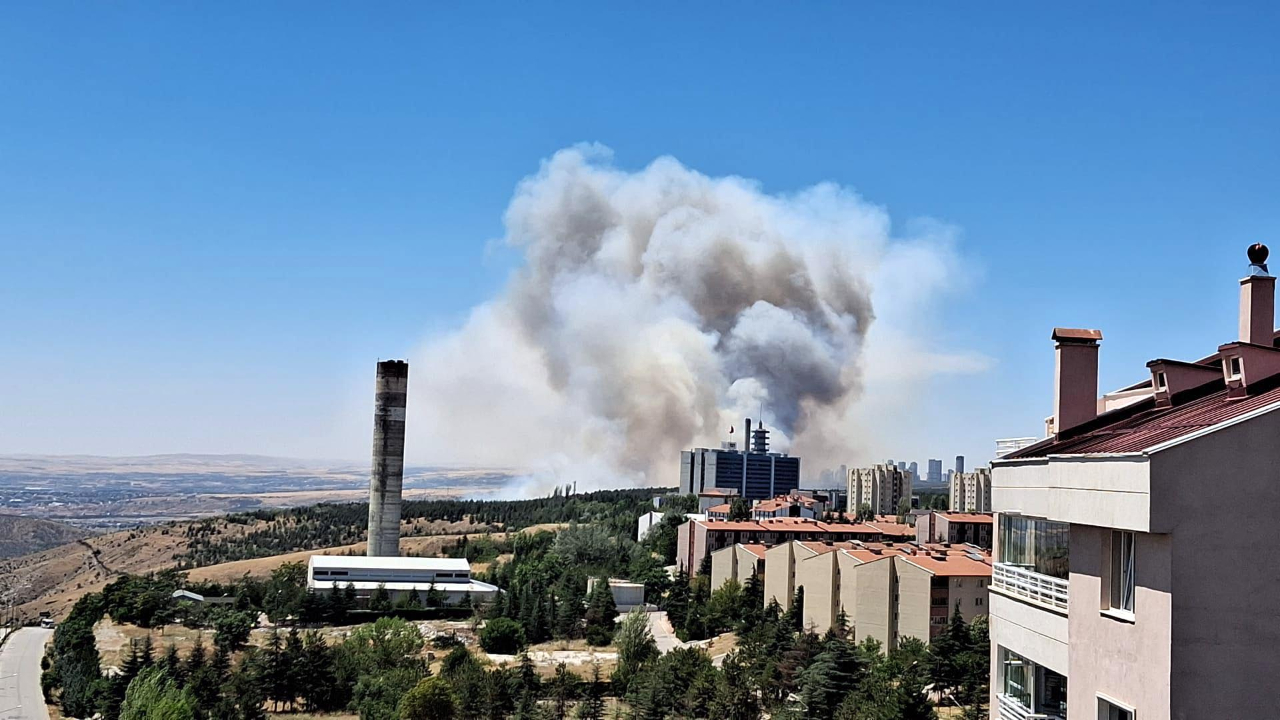 Eymir Gölü çevresinde yangın paniği
