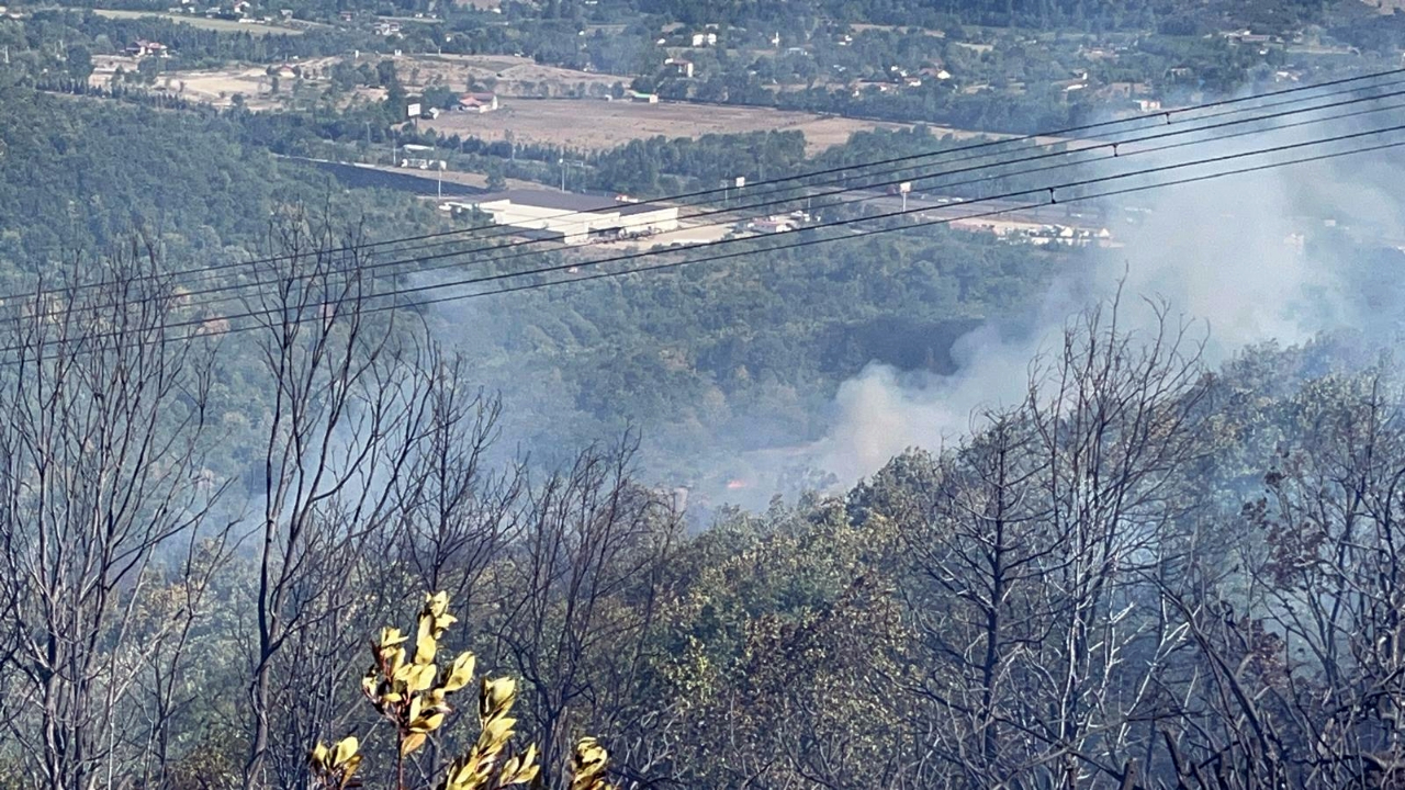 Düzce-Sakarya sınırındaki orman yangınına müdahale sürüyor
