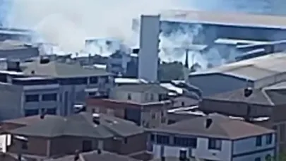 Demir çelik fabrikasında patlama sonrası yangın