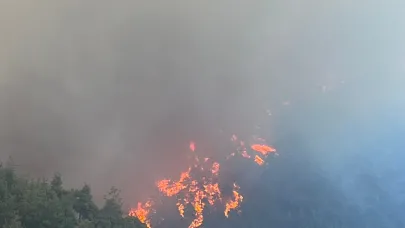Bursa'da bir orman yangını daha! Ciğerlerimiz yanıyor