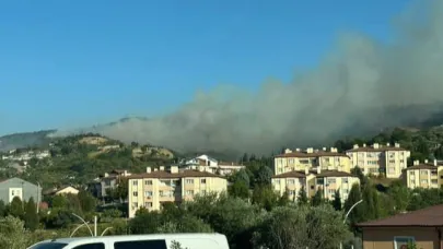 Karamürsel'de orman yangını
