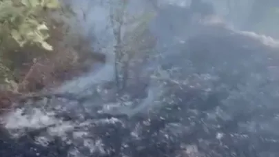 Datça'da kuru ot yangını