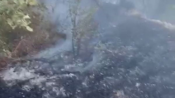 Datça'da kuru ot yangını