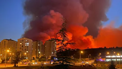 Bursa'da yangın sebebiyle mahalleler boşaltılıyor