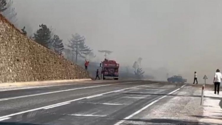Bursa yangınından acı haber: 1 şehit