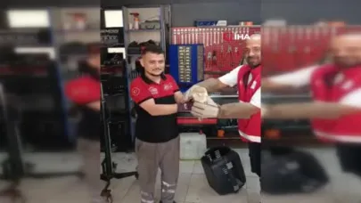 Arnavutköy'de nadir rastlanan peçeli baykuş bulundu